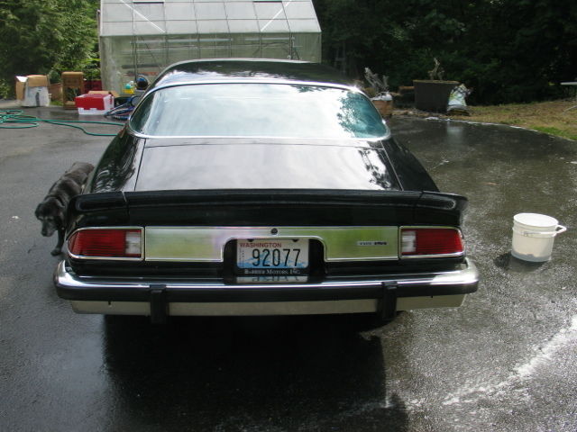 1976 Chevrolet Camaro LT - photo 3