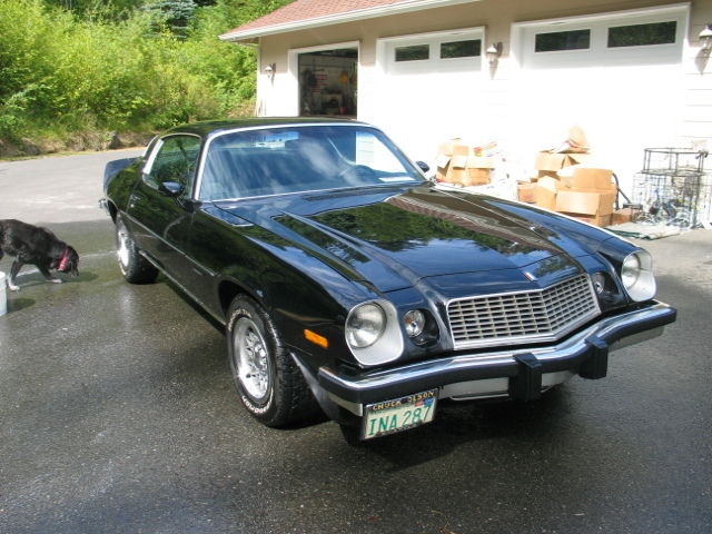 1976 Chevrolet Camaro LT - photo 4