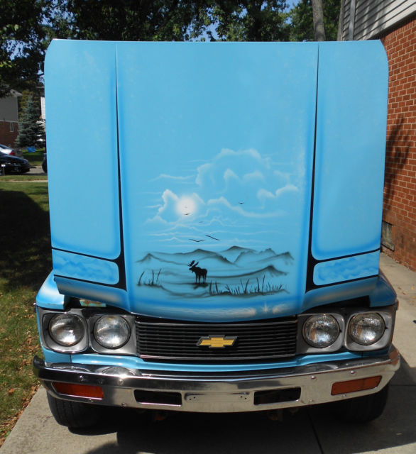 1976 Chevrolet Other Pickups STANDARD TRIM - photo 8