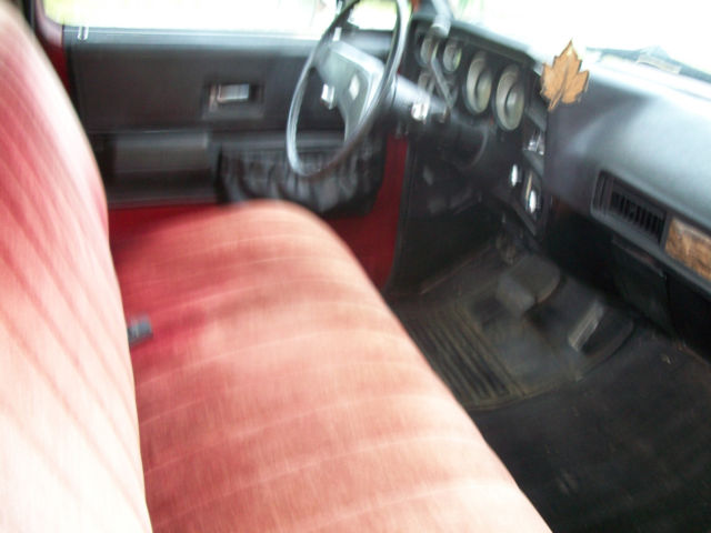 1976 Chevrolet C/K Pickup 1500 Standard - photo 10