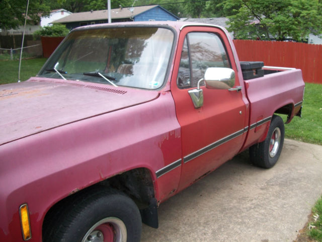 1976 Chevrolet C/K Pickup 1500 Standard - photo 3
