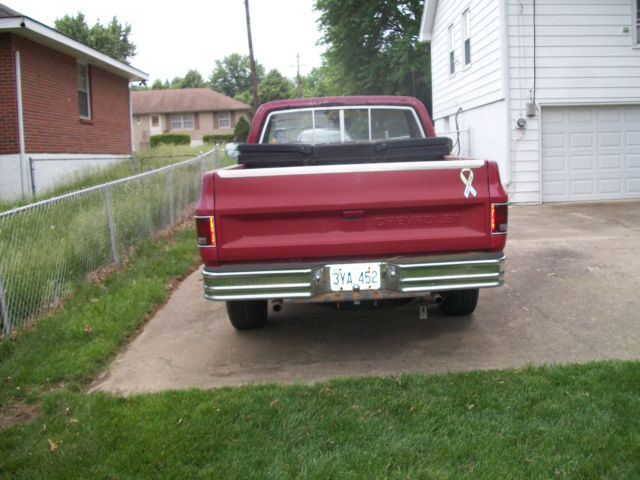 1976 Chevrolet C/K Pickup 1500 Standard - photo 5