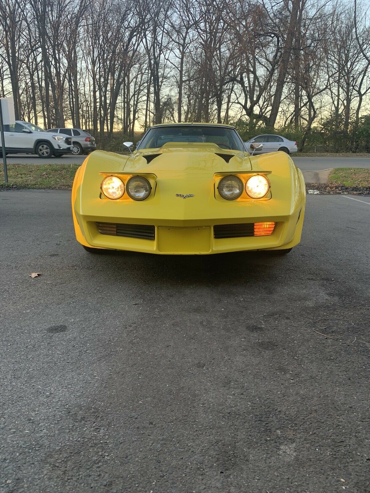 1976 Chevrolet Corvette 5.7 - photo 2