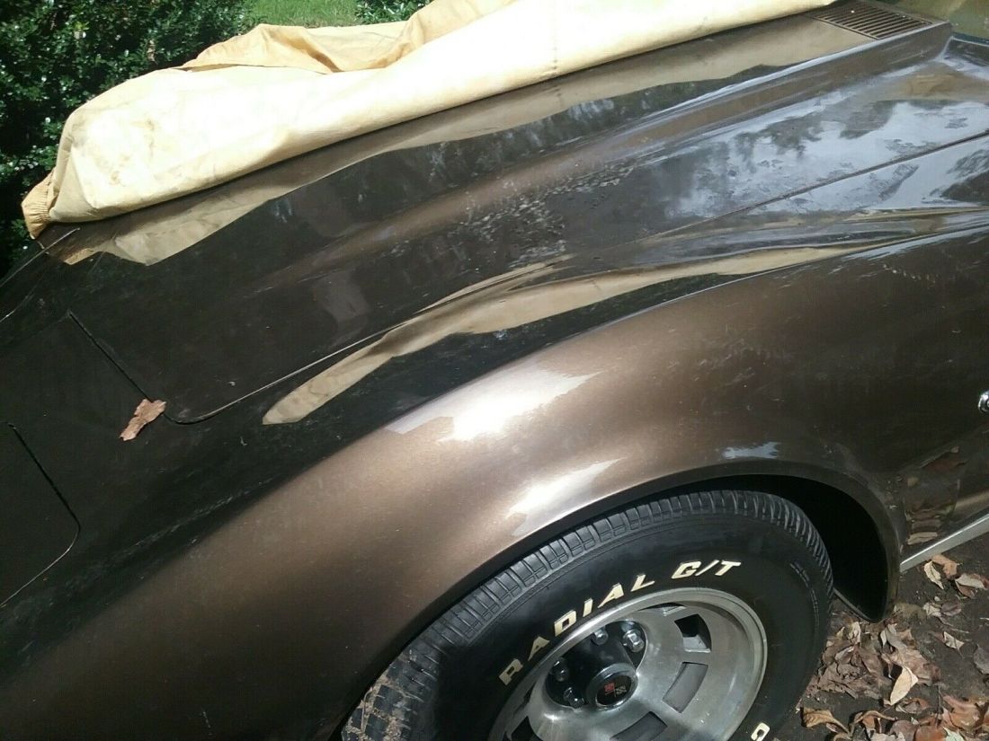 1976 Chevrolet Corvette C3 l48 - photo 3