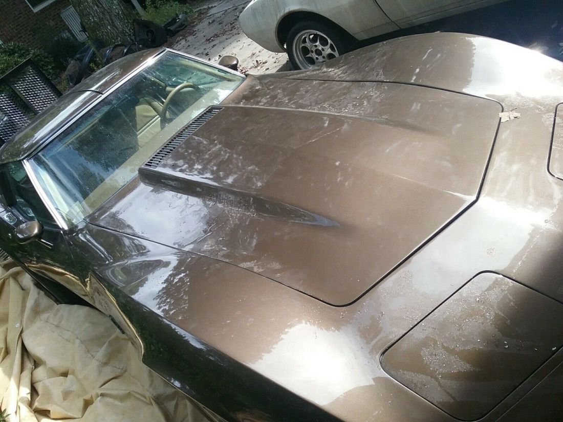 1976 Chevrolet Corvette C3 l48 - photo 9