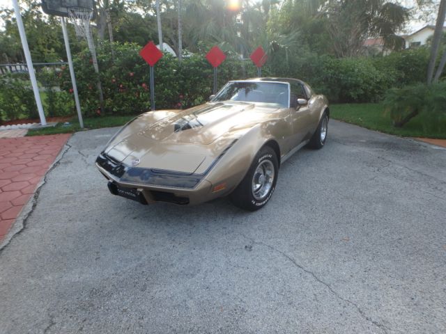 1976 Chevrolet Corvette L48 - photo 2