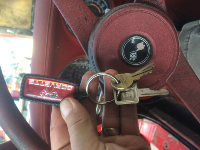 1976 Chevrolet Corvette L82 - photo 6