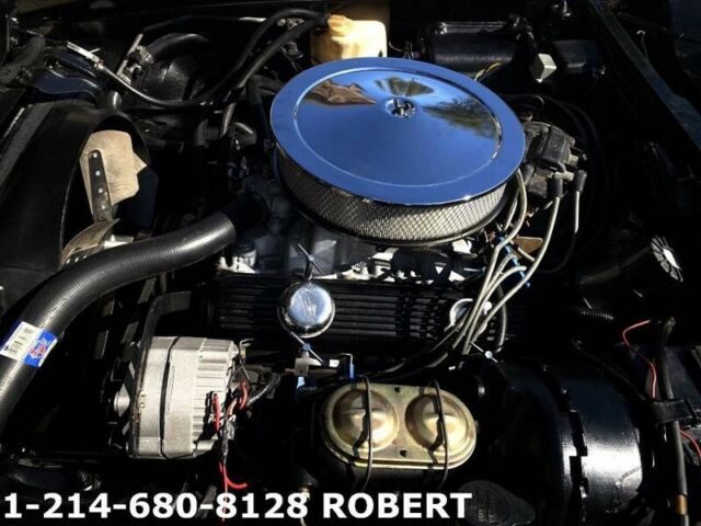 1976 Chevrolet Corvette L82 STINGRAY C3 - photo 10