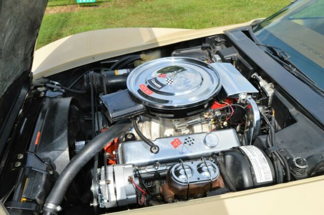 1976 Chevrolet Corvette - photo 12