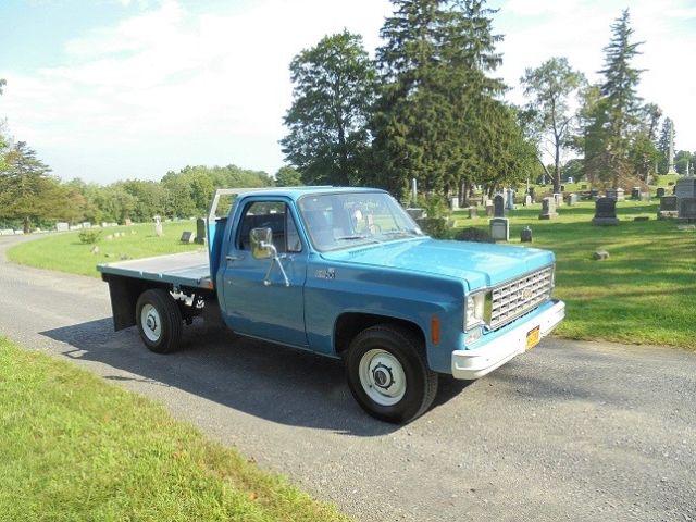 1976 Chevrolet Other Pickups - photo 2
