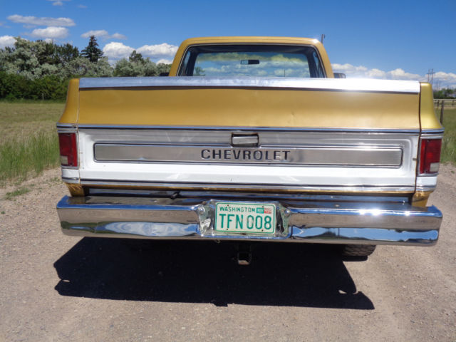 1976 Chevrolet C-10 Cheyenne - photo 10