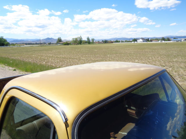 1976 Chevrolet C-10 Cheyenne - photo 11