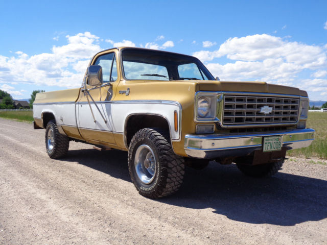 1976 Chevrolet C-10 Cheyenne - photo 5