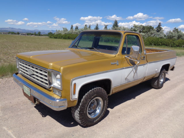 1976 Chevrolet C-10 Cheyenne - photo 7