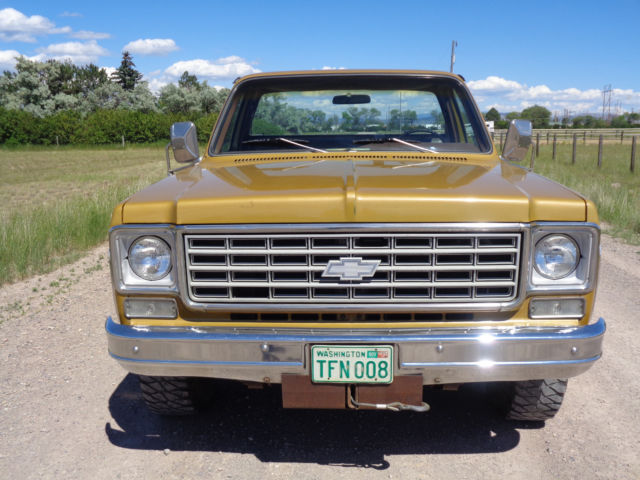 1976 Chevrolet C-10 Cheyenne - photo 9
