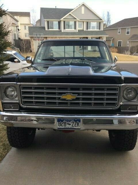1976 Chevrolet Other Pickups Scottsdale - photo 3