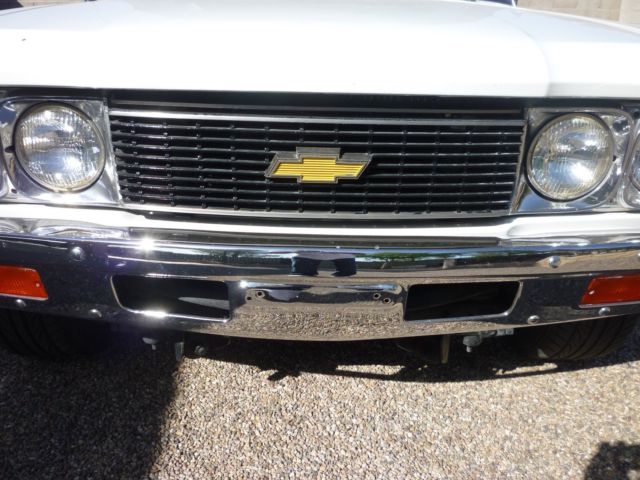 1976 Chevrolet Other Pickups base - photo 11