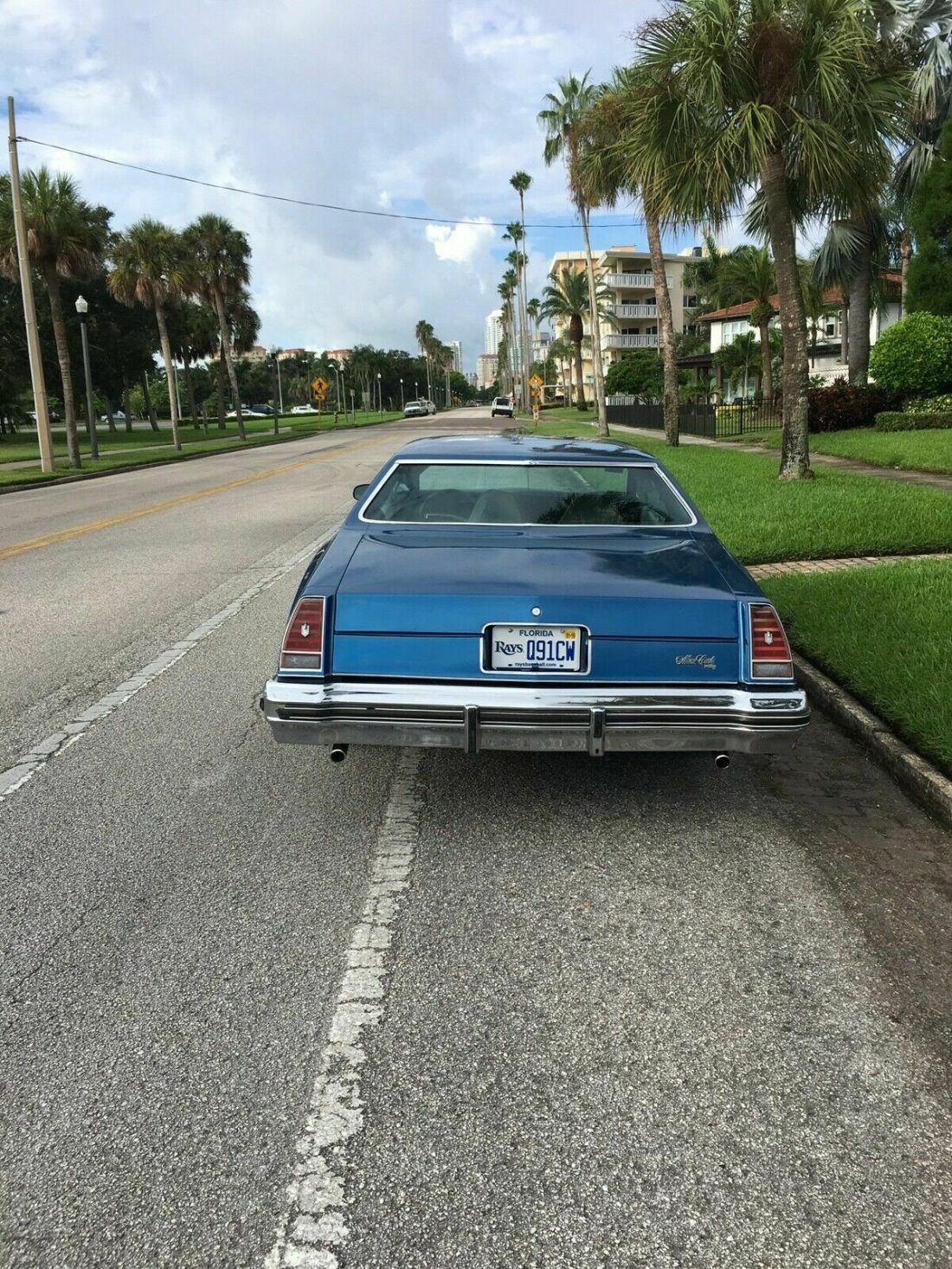 1976 Chevrolet Monte Carlo landau - photo 3