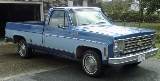 1976 Chevrolet C/K Pickup 1500 Scottsdale - photo 2