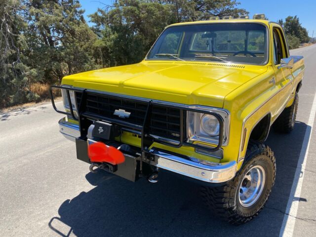 1976 Chevrolet Other Pickups 76 K-10 K10 C10 K10/C10 Silverado NO RESERVE - photo 12