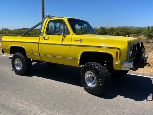 1976 Chevrolet Other Pickups 76 K-10 K10 C10 K10/C10 Silverado NO RESERVE - photo 6
