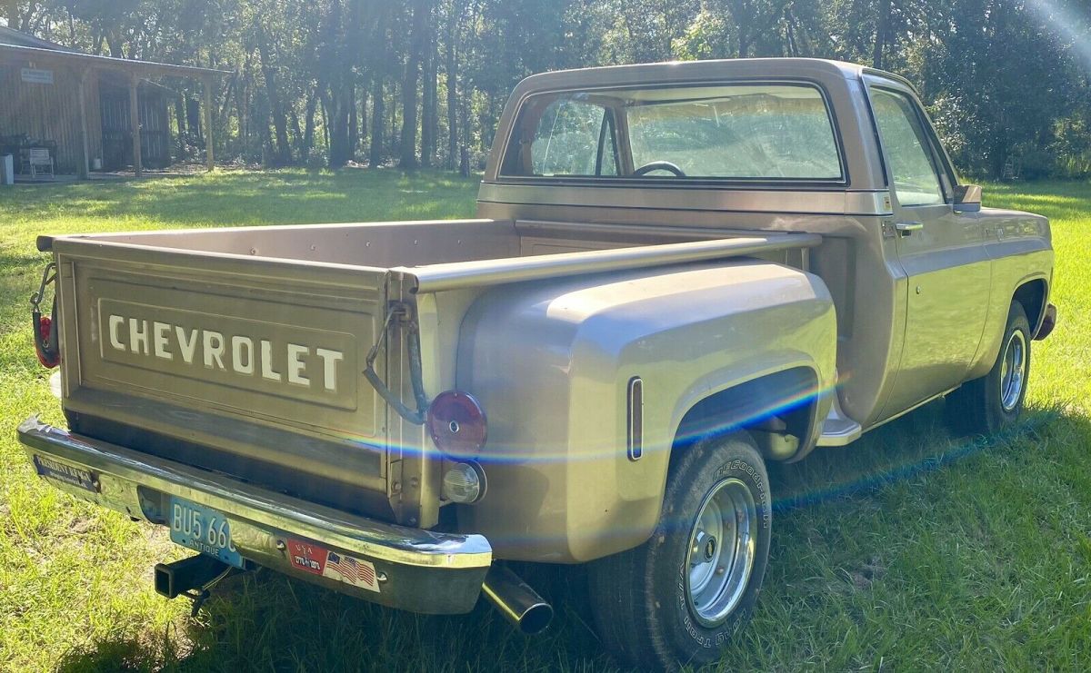 1976 Chevrolet silverado trailering special - photo 3