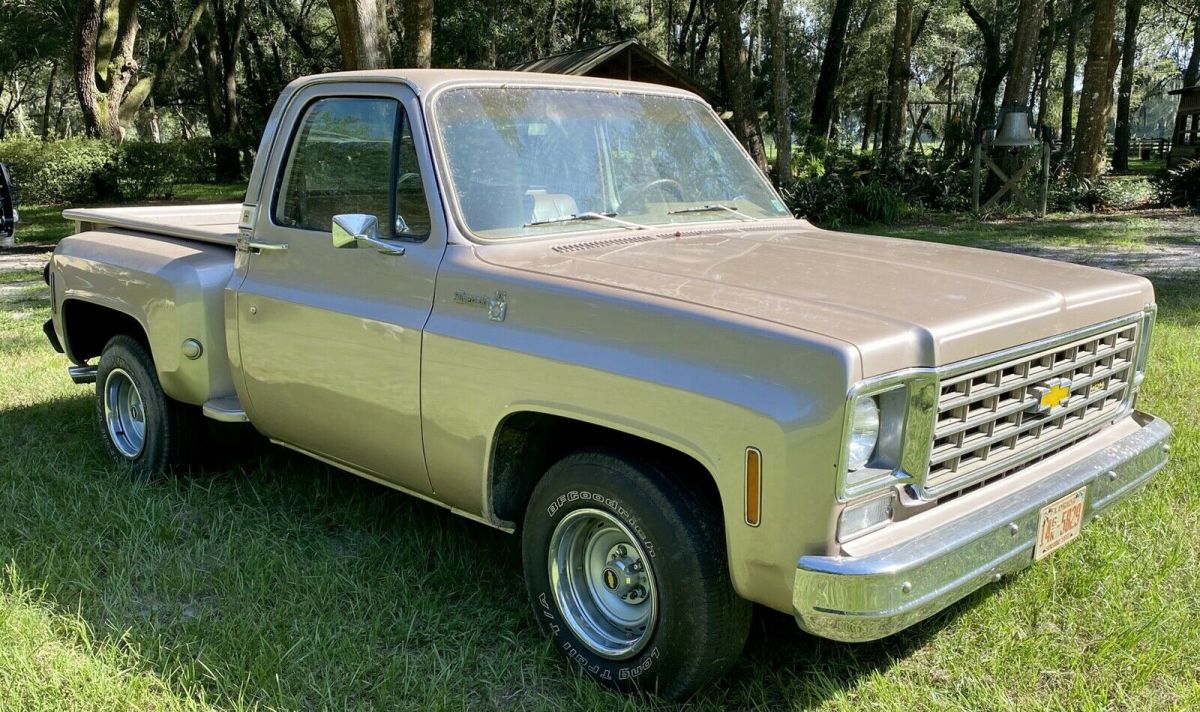 1976 Chevrolet silverado trailering special - photo 4
