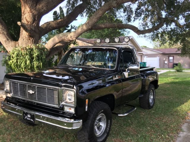 1976 Chevrolet C-10 Silverado - photo 2