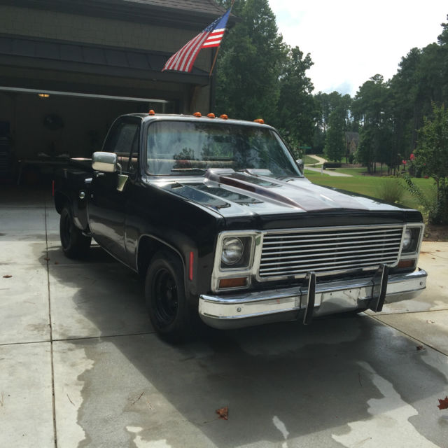 1976 Chevrolet C-10 Scottsdale - photo 9