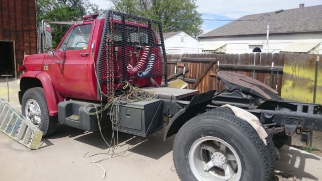 1976 Chevrolet Other Pickups Conventional - photo 3