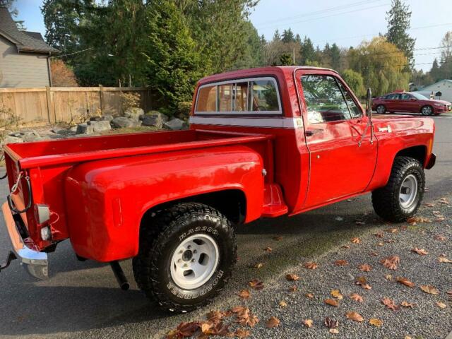1976 Chevrolet C/K Pickup 1500 Cheyenne - photo 5
