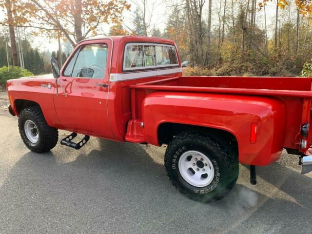 1976 Chevrolet C/K Pickup 1500 Cheyenne - photo 8