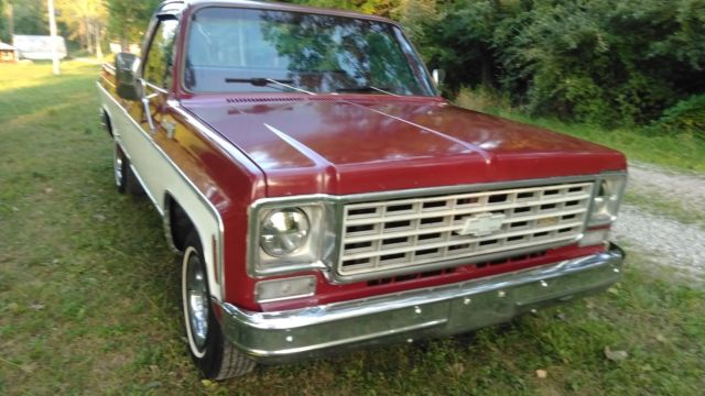 1976 Chevrolet Cheyenne - photo 4