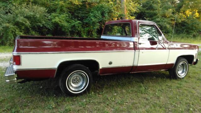 1976 Chevrolet Cheyenne - photo 5