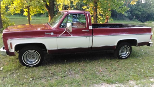 1976 Chevrolet Cheyenne - photo 9