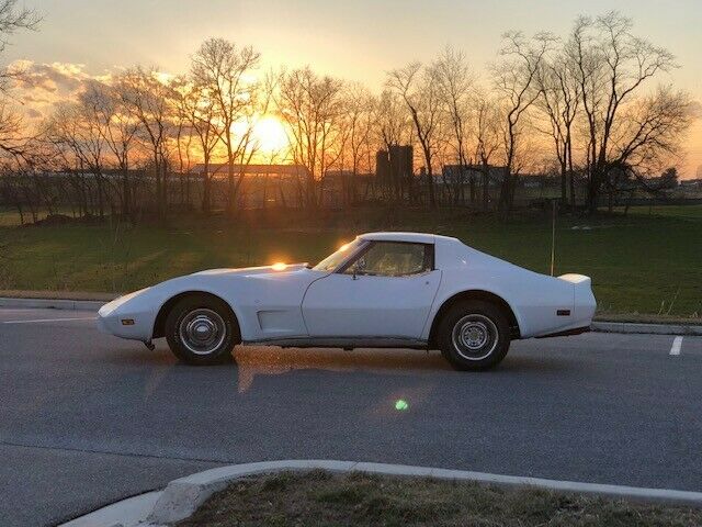 1976 Chevrolet Corvette stingray - photo 6