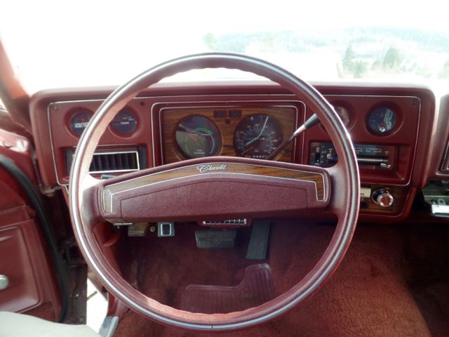 1976 Chevrolet Monte Carlo Landau - photo 11
