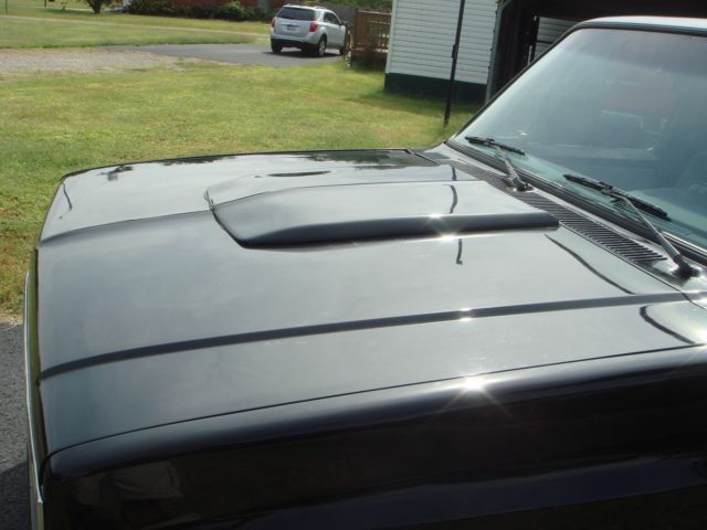 1976 Chevrolet Other Pickups - photo 10