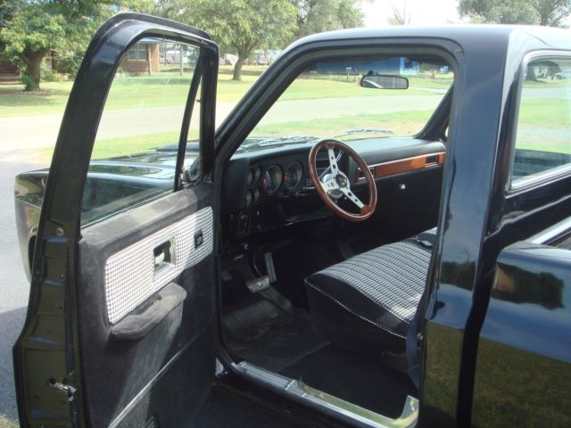 1976 Chevrolet Other Pickups - photo 11