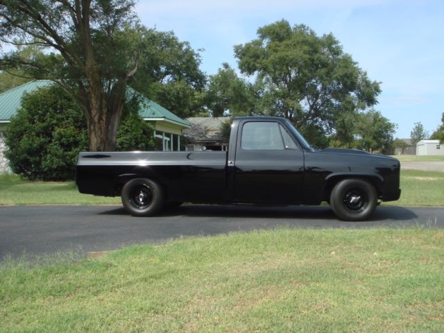 1976 Chevrolet Other Pickups - photo 2