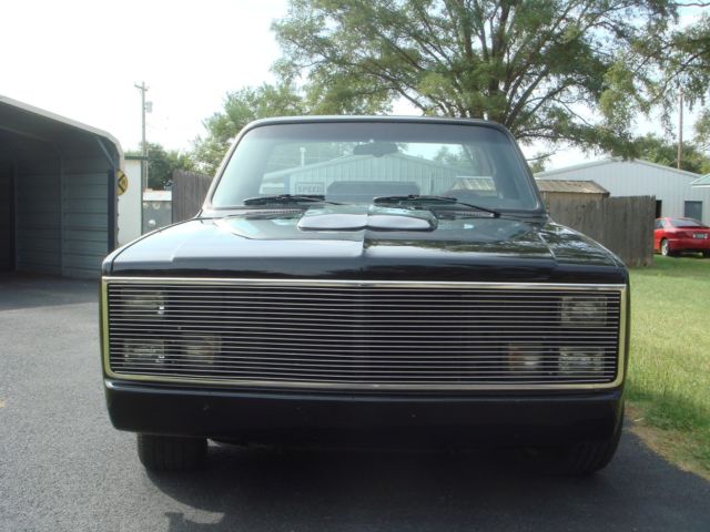1976 Chevrolet Other Pickups - photo 8