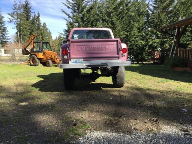 1976 Chevrolet Other Pickups - photo 10