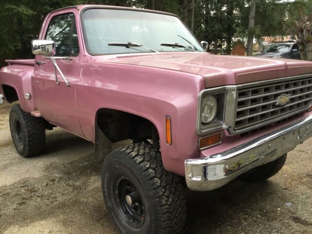 1976 Chevrolet Other Pickups - photo 2