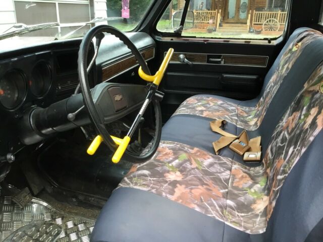 1976 Chevrolet Other Pickups - photo 4