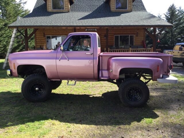 1976 Chevrolet Other Pickups - photo 8