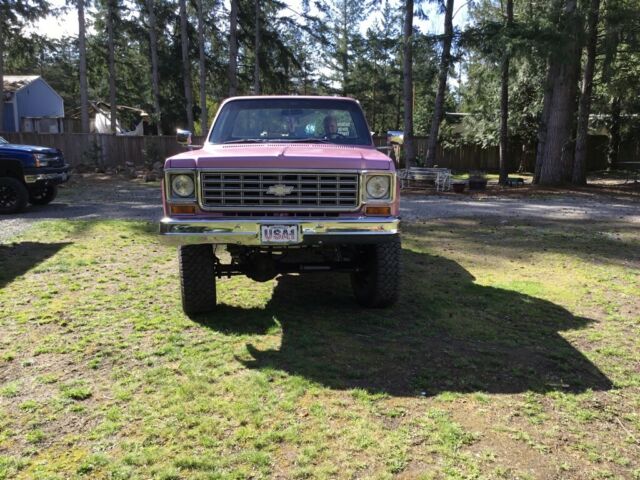 1976 Chevrolet Other Pickups - photo 9