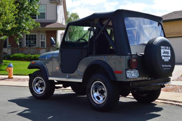 1976 Jeep Renegade Levis Edition - photo 3