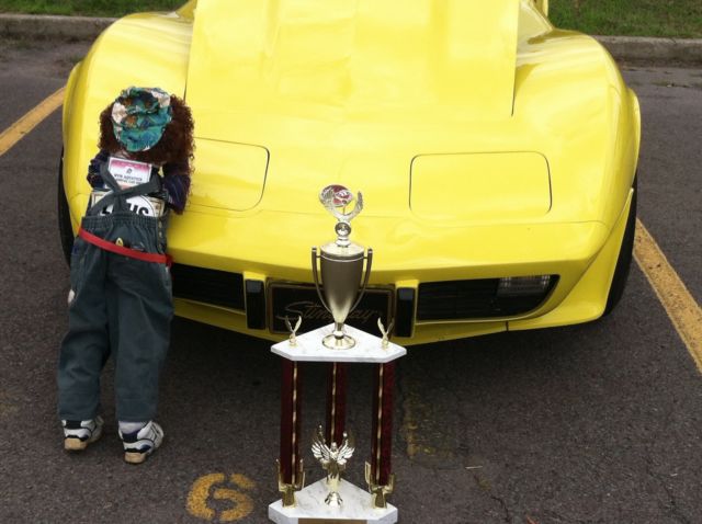 1976 Chevrolet Corvette L82 - photo 3