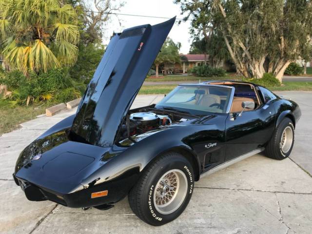 1976 Chevrolet Corvette COUPE T TOP TARGA TOP SOFT TOP - photo 3