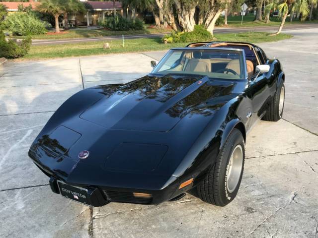1976 Chevrolet Corvette COUPE T TOP TARGA TOP SOFT TOP - photo 5